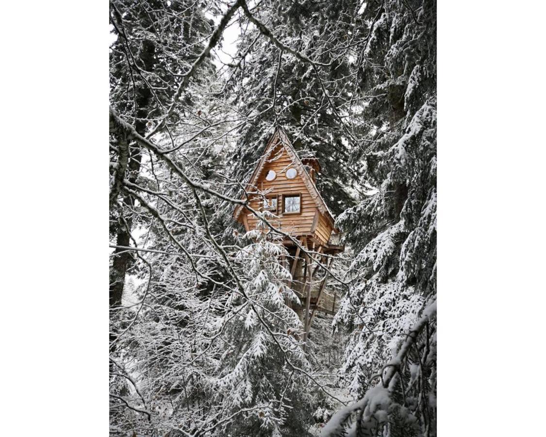 Cabanes Des Volcans Ла-Тур-д'Овернь Екстер'єр фото