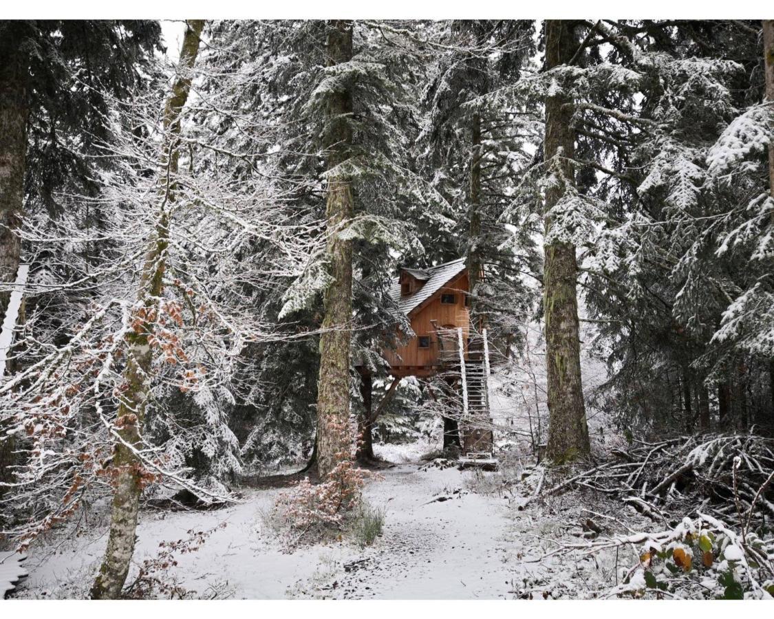 Cabanes Des Volcans Ла-Тур-д'Овернь Екстер'єр фото